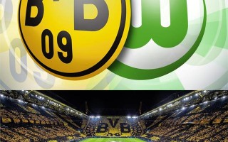 vsports体育-狼堡客场憾负卡尔斯鲁厄，积分跌至中上游