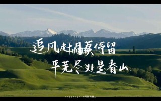 vsports体育-汉堡球队经历一场胜利，向前走去创造更好成绩！