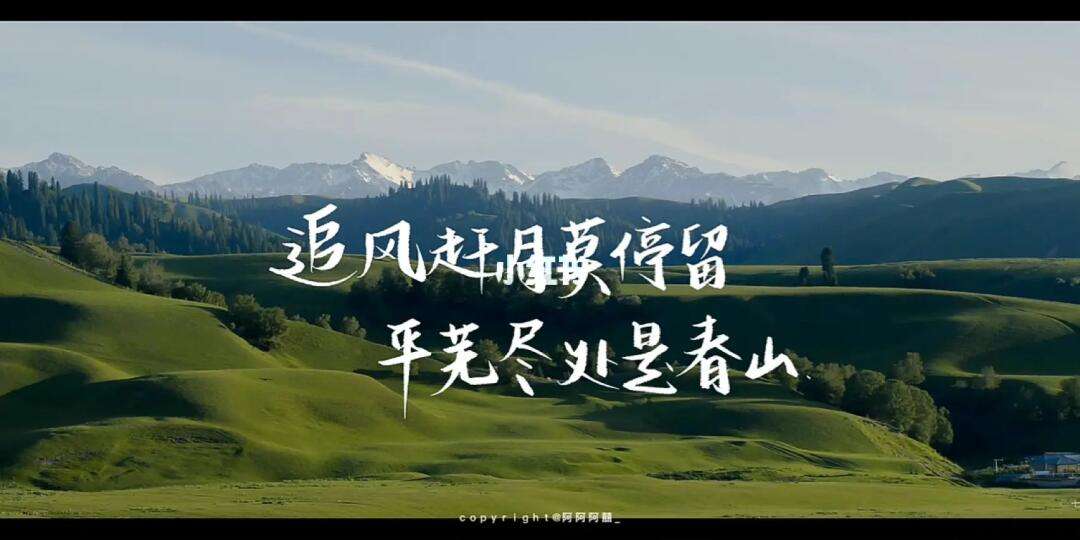 vsports体育-汉堡球队经历一场胜利，向前走去创造更好成绩！-第1张图片-V体育