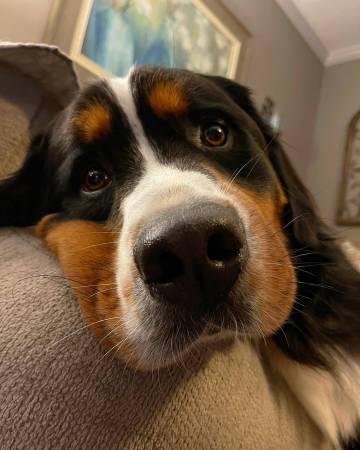 V体育官方app-伯恩山重点训练,为接下来比赛做好准备-第1张图片-V体育 V体育官方app-伯恩山重点训练,为接下来比赛做好准备-第1张图片-V体育