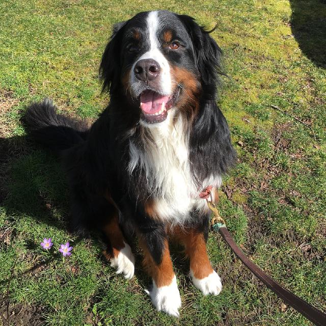 V体育官方app-伯恩山重点训练,为接下来比赛做好准备-第2张图片-V体育 V体育官方app-伯恩山重点训练,为接下来比赛做好准备-第2张图片-V体育