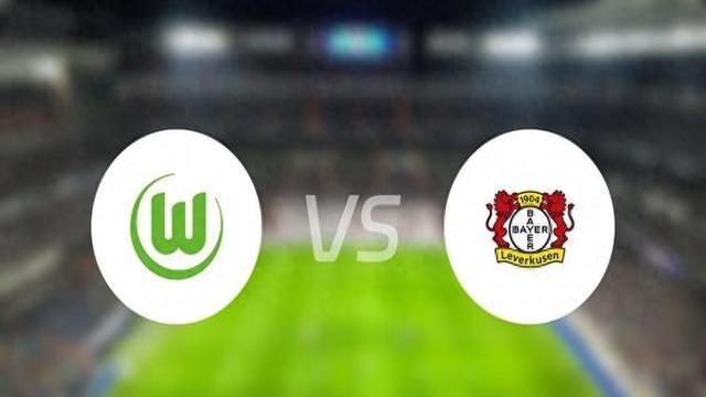 V体育-沃尔夫斯堡主场胜利，稳固争冠地位-第2张图片-V体育